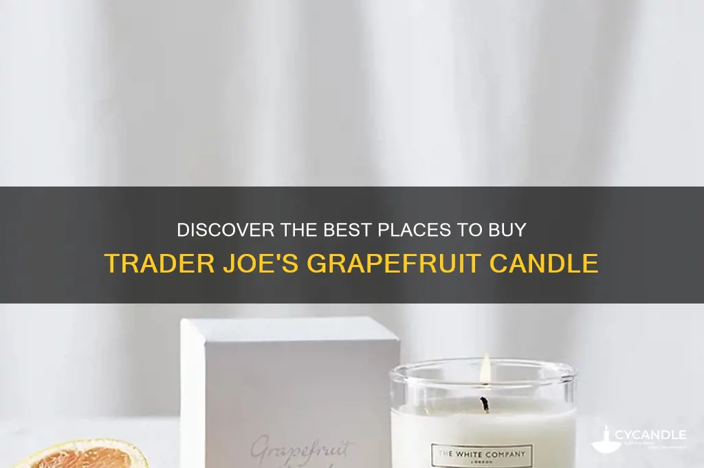 where to buy trader joes grapefuit candle