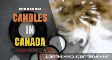 Best Places to Buy Trick Candles in Canada: A Shopper's Guide