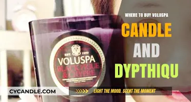 Discover Top Retailers for Voluspa and Diptyque Candles Online