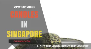 Best Places to Buy Voluspa Candles in Singapore: A Guide