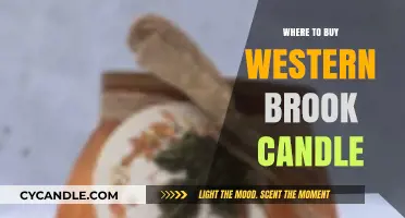 Discover the Best Places to Purchase Western Brook Candles