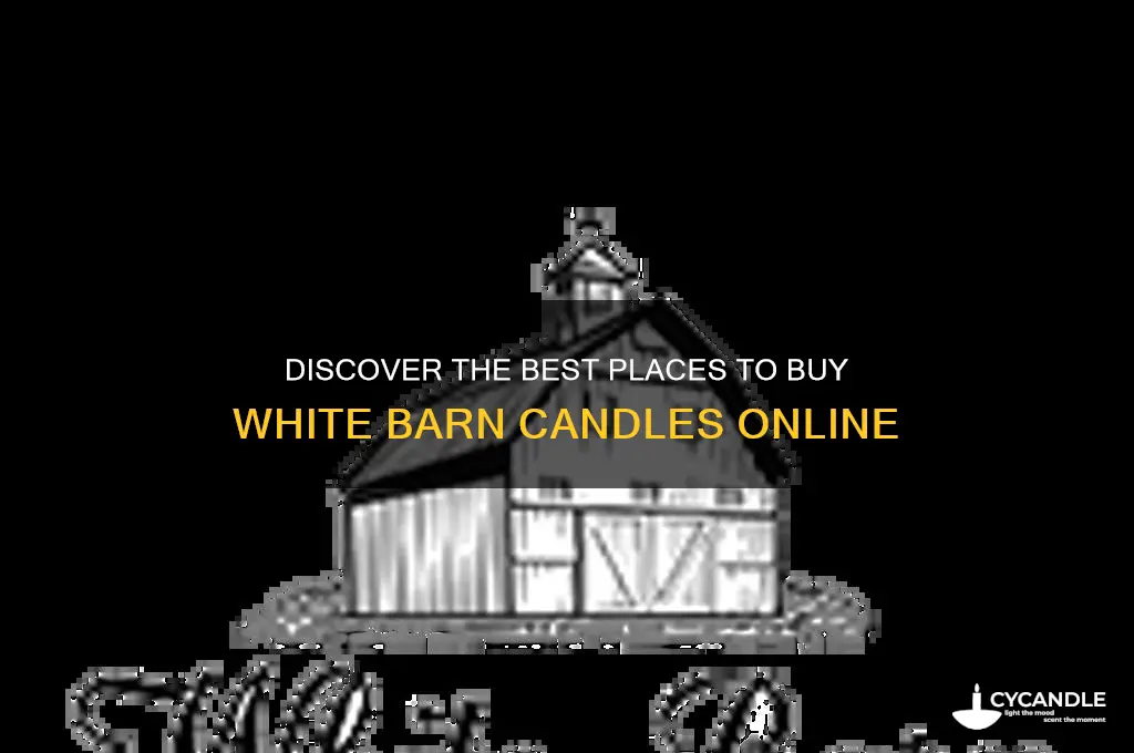 where to buy white barn candles