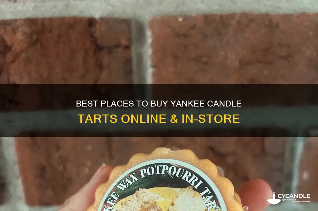 where to buy yankee candle tarts