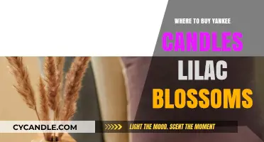 Where to Find Yankee Candles Lilac Blossoms: Top Retailers Guide