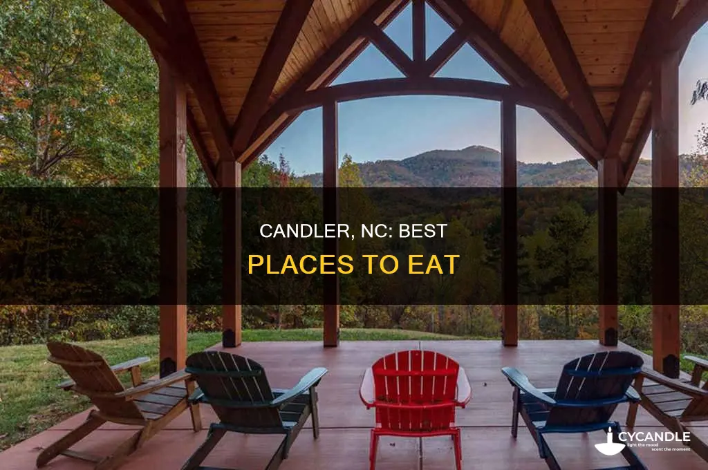 where to eat in candler nc