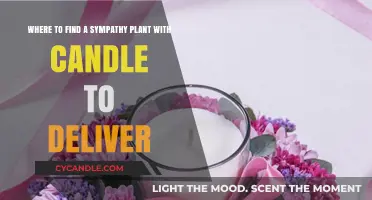 Sympathy Plants: Convenient Delivery with Candles