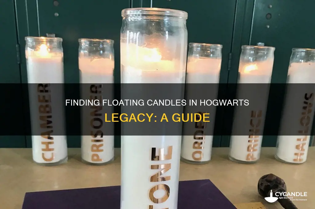 where to find floating candles hogwarts legacy