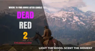 Finding Horse After Red Candle 2: A Guide