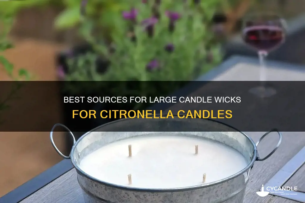 where to find large candle wicks for citronella candles