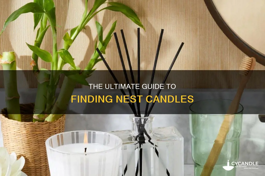 where to find nest candles