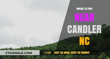 Best Fishing Spots Near Candler, NC