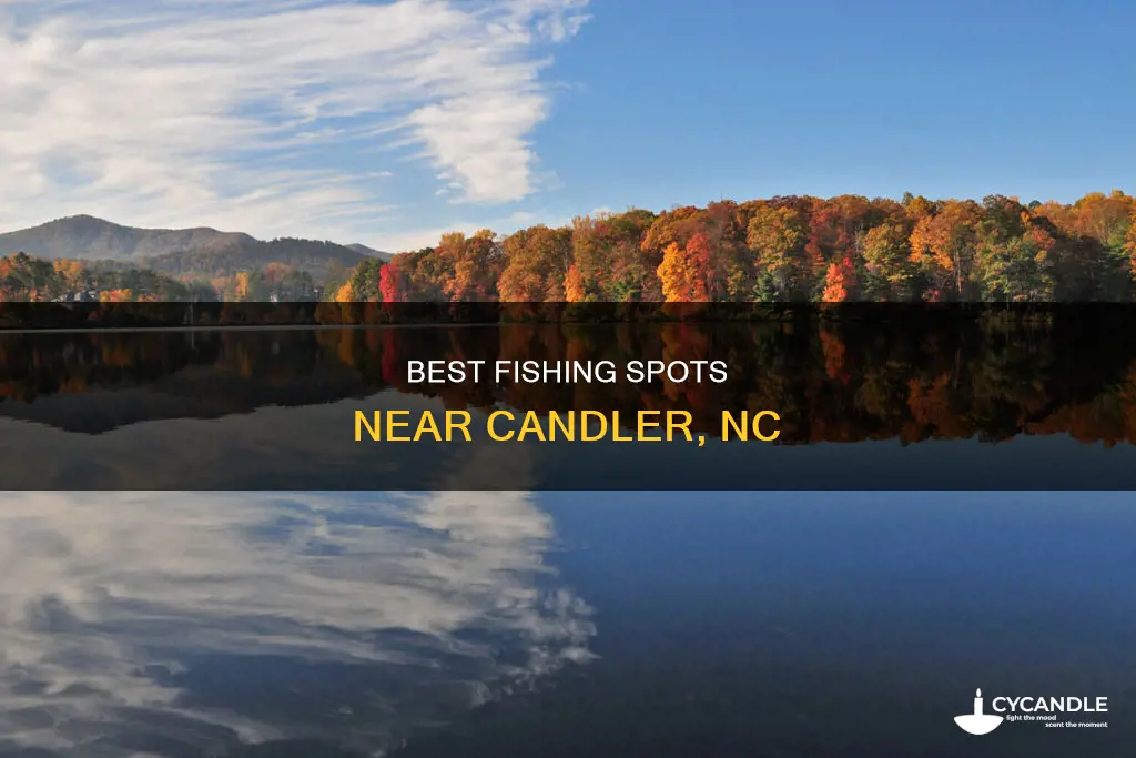 where to fish near candler nc