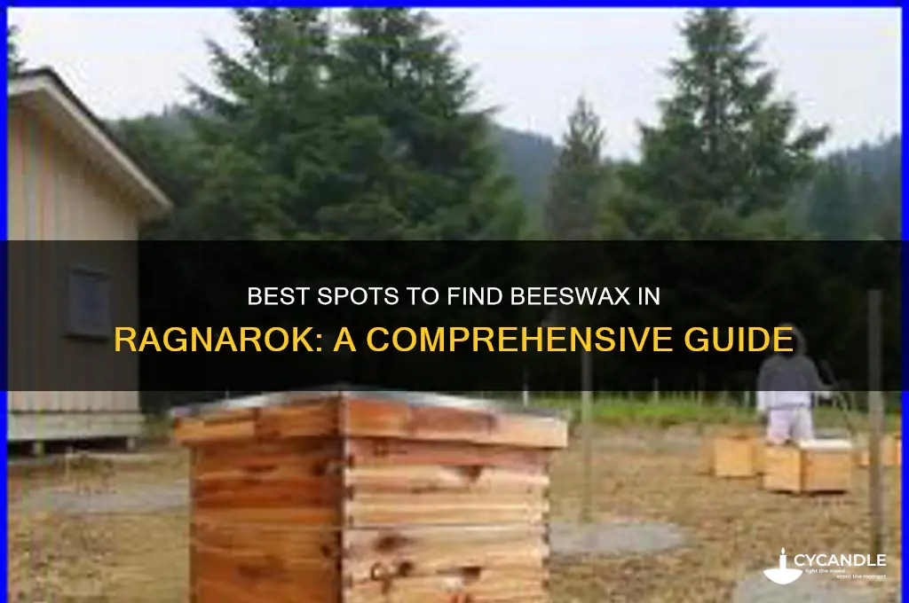 where to get beeswax in ragnorak
