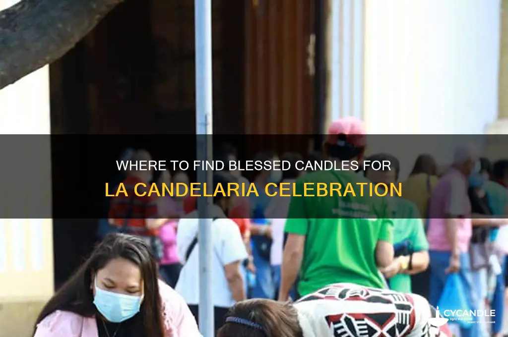 where to get blessed candles for la candelria