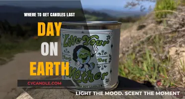 Last Day on Earth: Top Spots to Find Candles Fast