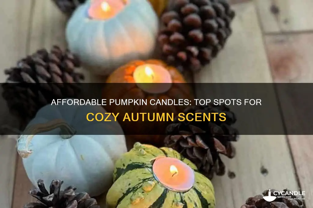 where to get cheap pumpkin candles