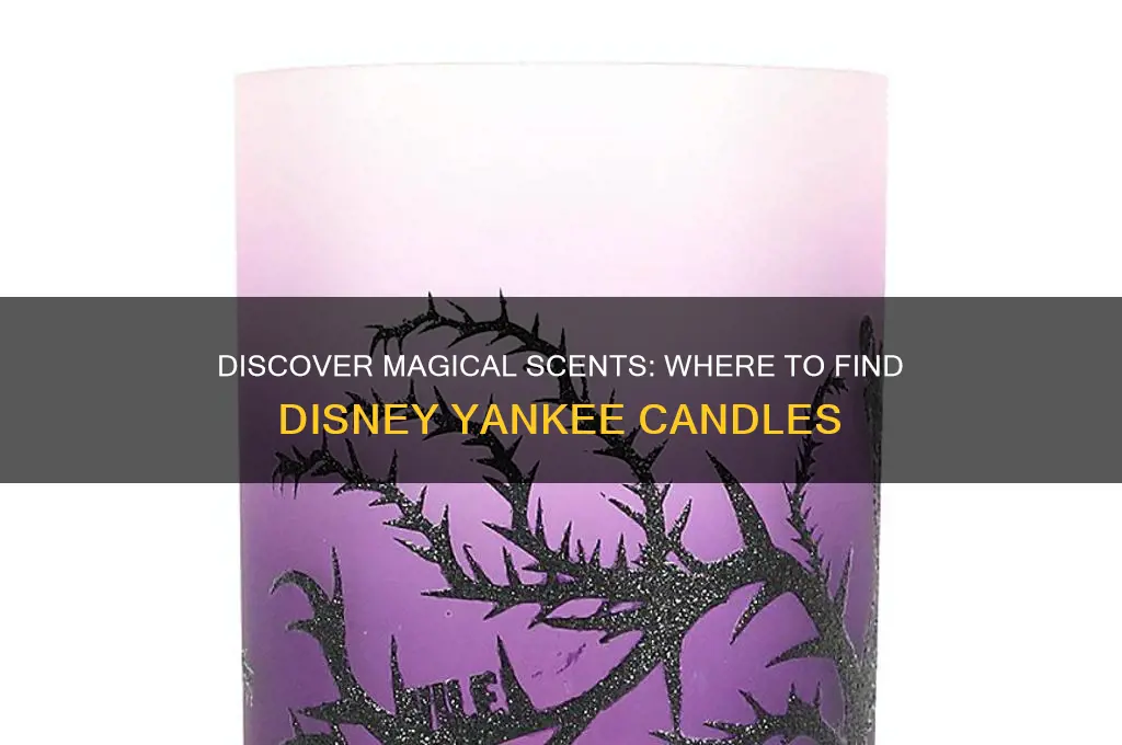 where to get disney yankee candles