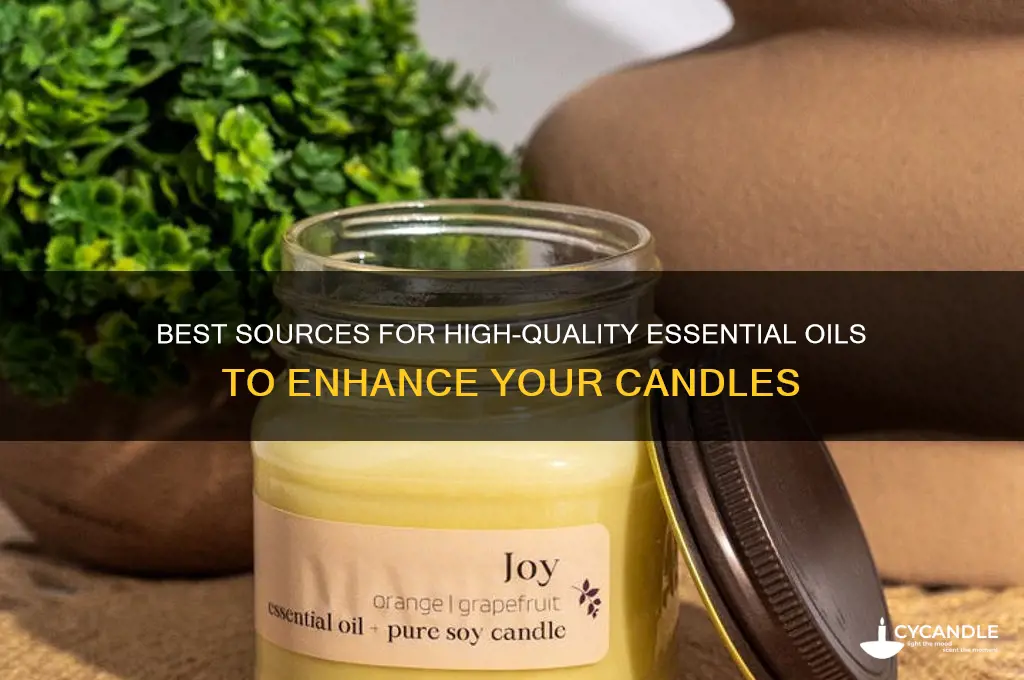 where to get essential oils for candles