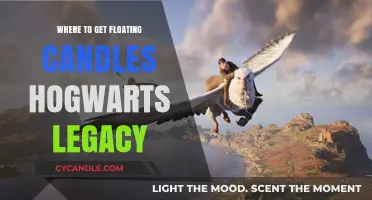 Hogwarts Legacy Floating Candles: Where to Find and Use Them