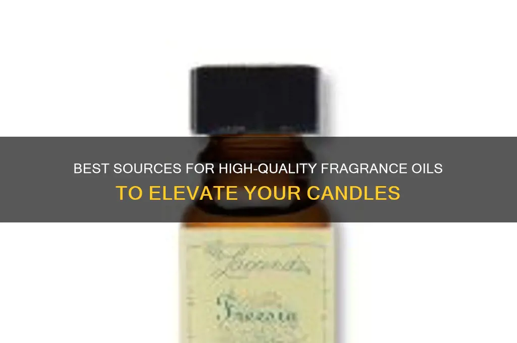 where to get fragrance oil for candles