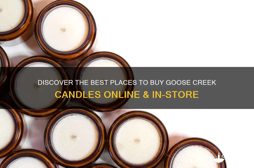 where to get goose creek candles
