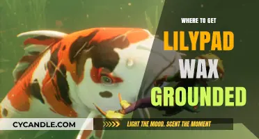 Where to Find Lilypad Wax Grounded: A Comprehensive Guide