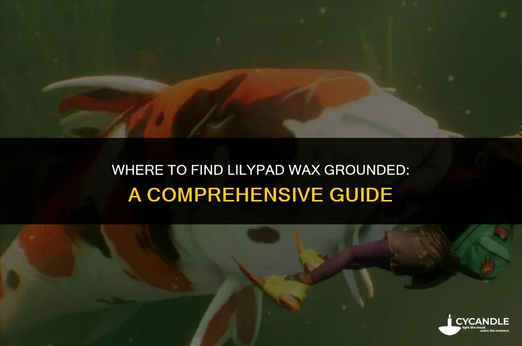 where to get lilypad wax grounded