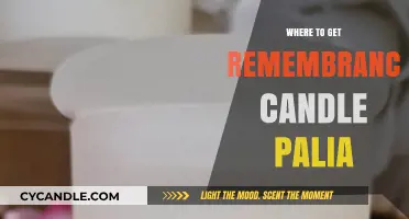 Where to Find Remembrance Candle in Palia: A Complete Guide