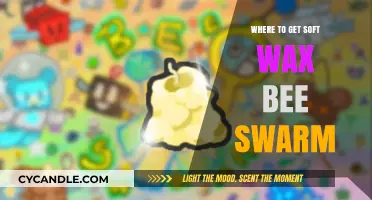 Where to Get Soft Wax Bee Swarm: A Beginner's Guide
