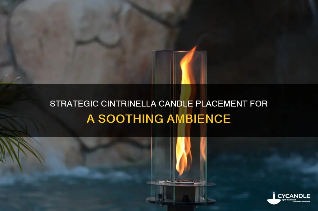 where to place cintrinella candles