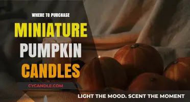 Best Stores for Miniature Pumpkin Candles