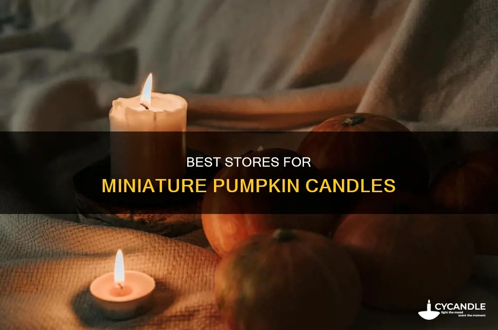 where to purchase miniature pumpkin candles