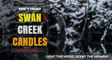 Best Places to Buy Swan Creek Candles