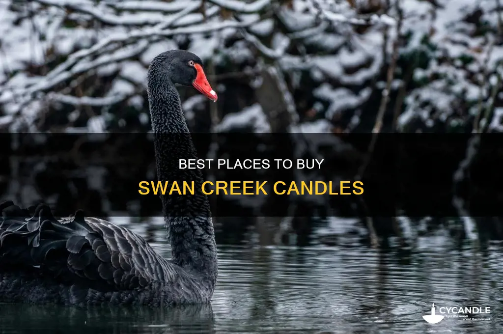 where to purchase swan creek candles