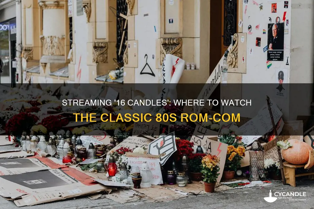 where to watch 16 candled