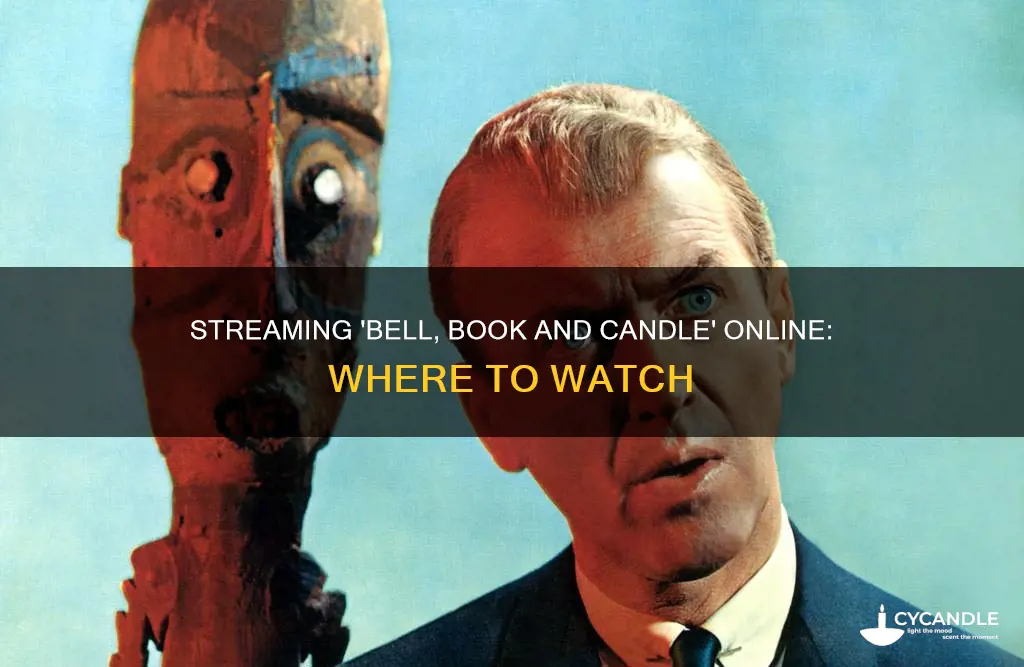 where to watch bell book and candle