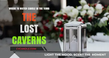 Stream 'Candle in the Tomb: The Lost Caverns' on Netflix