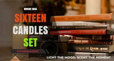 The Iconic Setting of Sixteen Candles: A Chicago Suburb