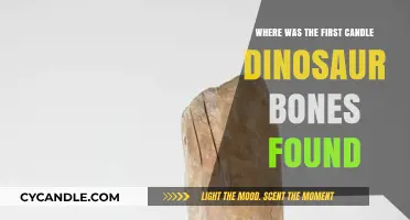 Candle Dino Bones: Where Were They Found First?