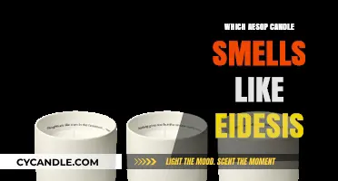 Seeking the Aesop Scent: Eidetic Memories and Candles