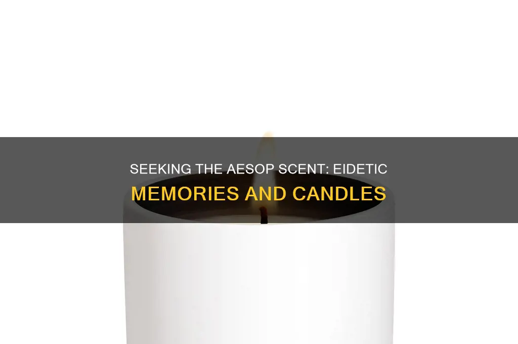 which aesop candle smells like eidesis