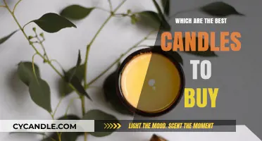 Top Scented Candles to Elevate Your Home Ambiance Instantly
