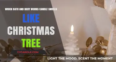 Best Bath & Body Works Candle for a Christmas Tree Scent