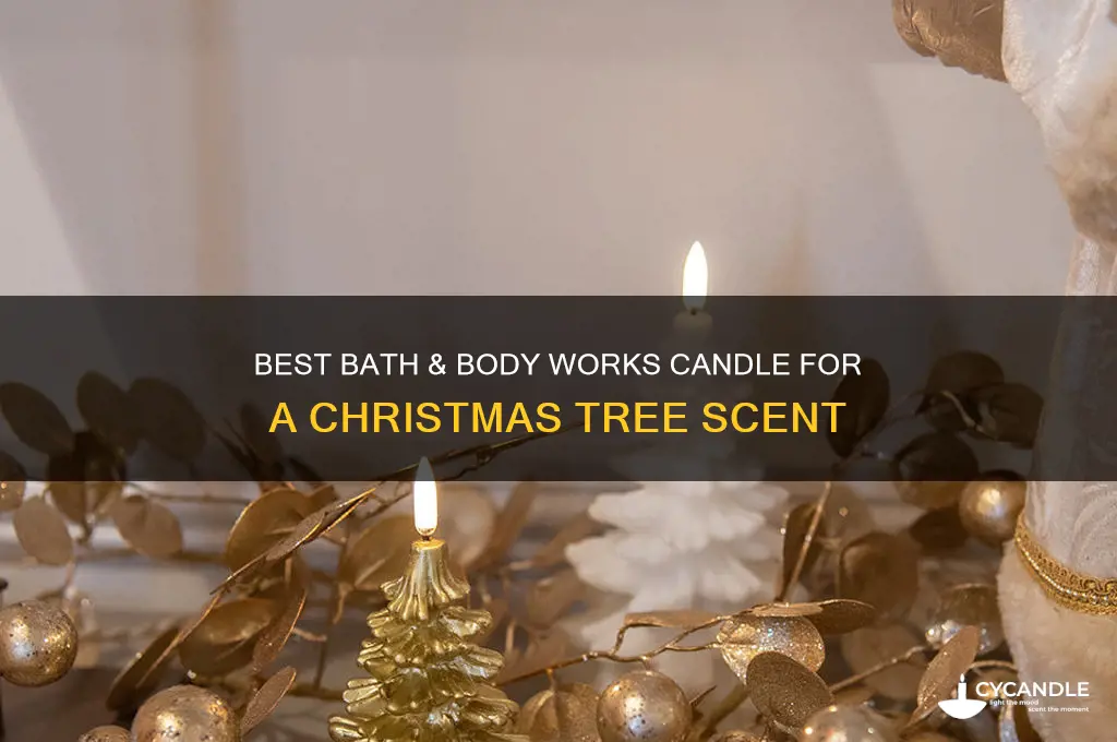 which bath and body works candle smells like christmas tree