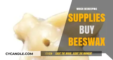 Essential Beekeeping Supplies: Where to Buy Quality Beeswax for Your Hive