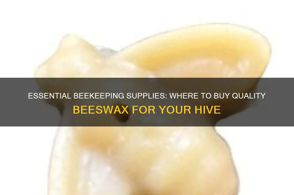 which beekeeping supplies buy beeswax