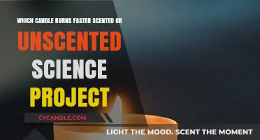 Scented vs. Unscented: Which Candle Burns Faster? Science Reveals