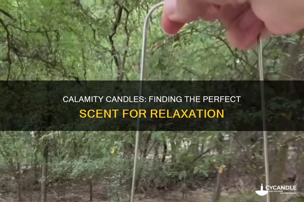which candle is the best calamity