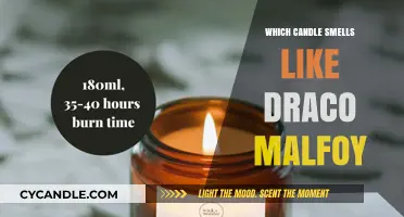 The Draco Malfoy Candle: A Scented Journey