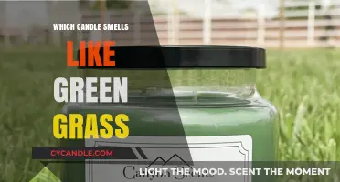 Fresh Cut Grass: The Best Candle Scents for Summer